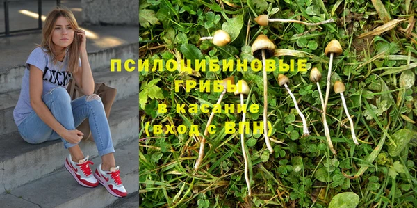трава Абинск