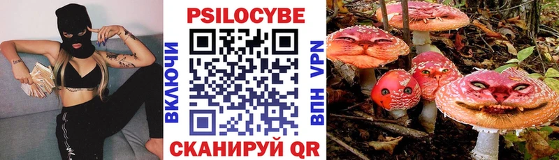 Псилоцибиновые грибы ЛСД  Новокубанск 